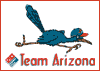 Dominos Pizza Team Arizona